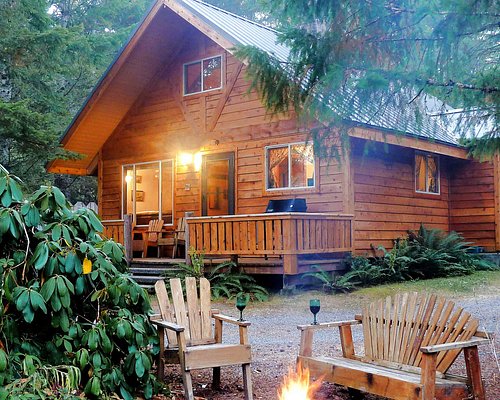 Best Luxury Mt Rainier Cabins for a Cozy Wilderness Experience